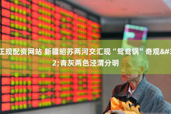 正规配资网站 新疆昭苏两河交汇现“鸳鸯锅”奇观 青灰两色泾渭分明