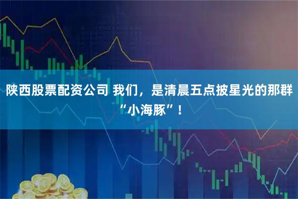 陕西股票配资公司 我们，是清晨五点披星光的那群“小海豚”！