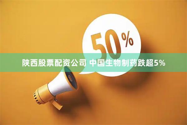 陕西股票配资公司 中国生物制药跌超5%