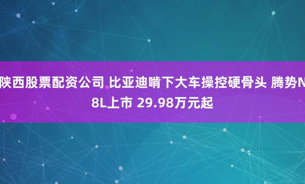 陕西股票配资公司 比亚迪啃下大车操控硬骨头 腾势N8L上市 29.98万元起