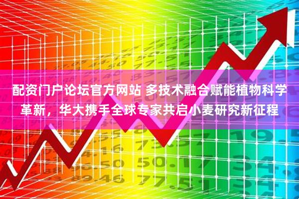 配资门户论坛官方网站 多技术融合赋能植物科学革新，华大携手全球专家共启小麦研究新征程