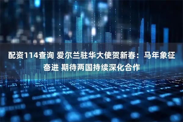 配资114查询 爱尔兰驻华大使贺新春：马年象征奋进 期待两国持续深化合作