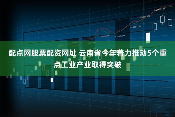 配点网股票配资网址 云南省今年着力推动5个重点工业产业取得突破